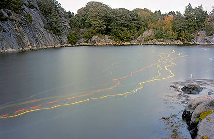 Contemporary photography composed by the forces of nature