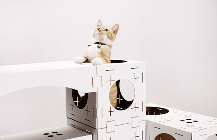 Playful DIY Cardboard House for Cats