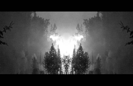 Albrcht-lights