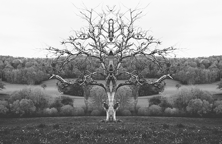 Black and White Rorschach Landscapes