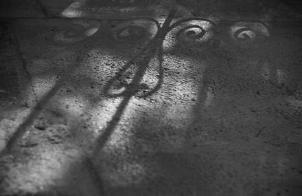 Luminous talks