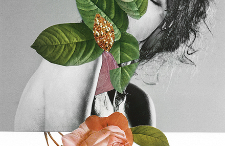 Best-of Photos Collages on Fubiz