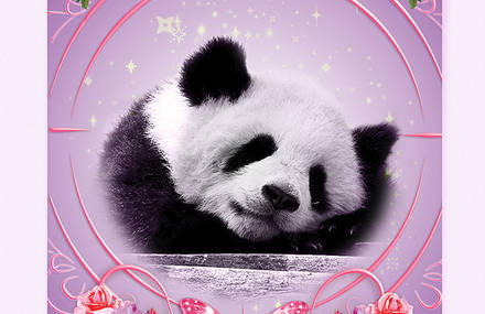 Subversive Kitsch Animal Rights Posters