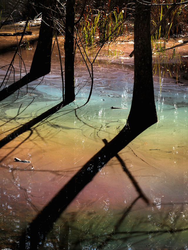 Abstract Nature Details-15