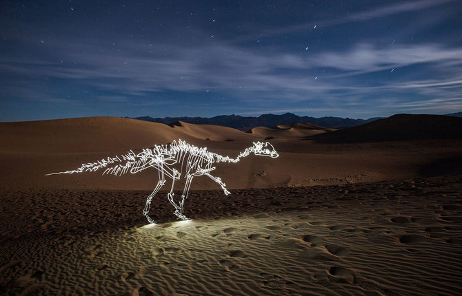 Dinosaur Light Paintings