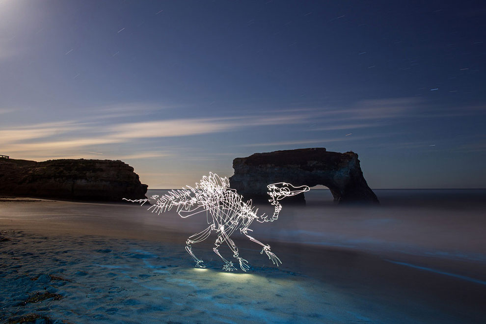 Dinosaur Light Paintings_7