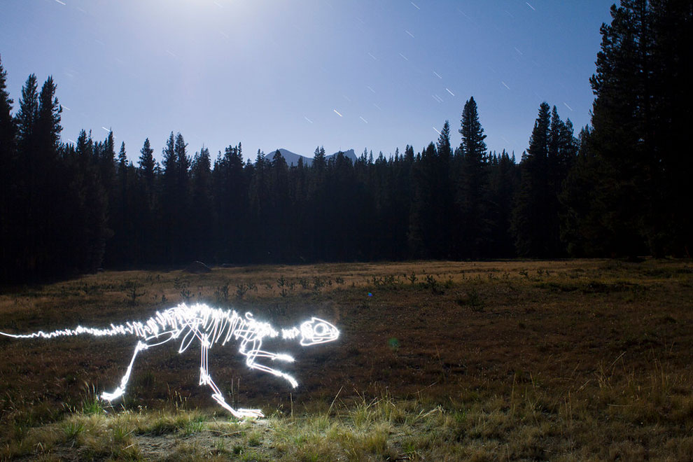 Dinosaur Light Paintings_8