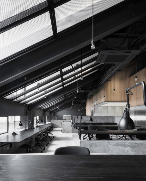 Inside Flamingo Office Media