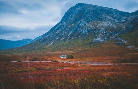 Into the Wild Photography by Alex Mai