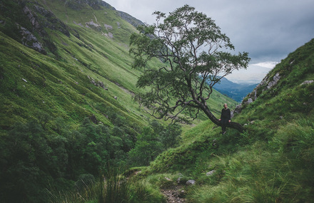 Into the Wild Photography by Alex Mai