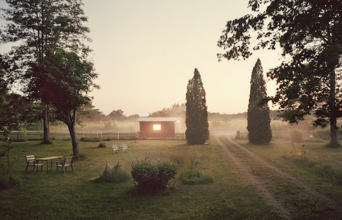 Landscapes in The Mist Pictures