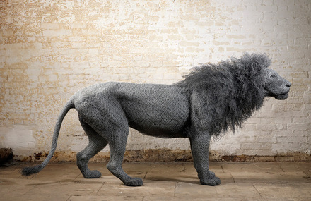 Lifelike Wire Animal Sculptures