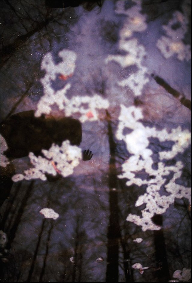 Magical Double Exposure in The Forest-10