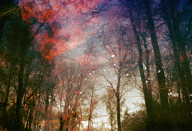 Magical Double Exposure in The Forest-12