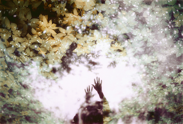 Magical Double Exposure in The Forest-14