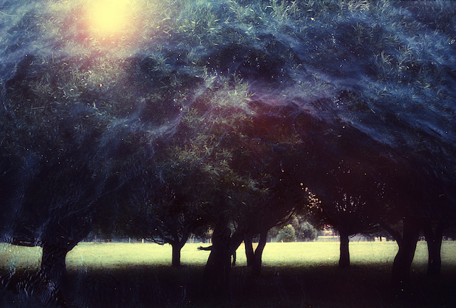 Magical Double Exposure in The Forest-16