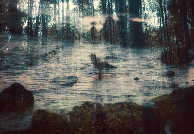 Magical Double Exposure in The Forest-17