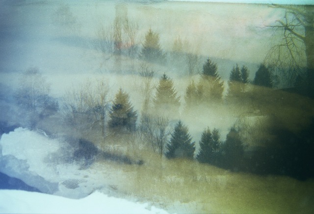 Magical Double Exposure in The Forest-20