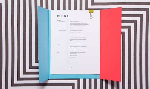 Pleno Visual Identity by Futura-10