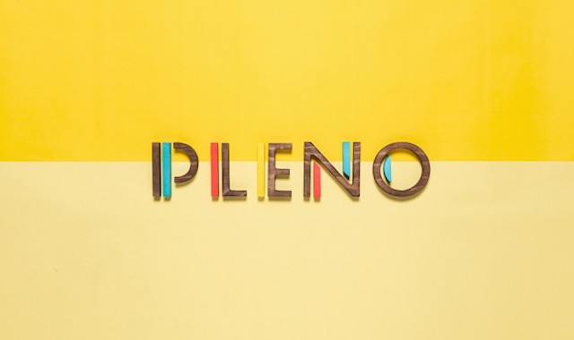 Pleno Visual Identity by Futura-5