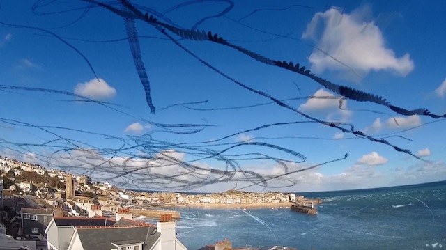 Seagull Skytrails-6