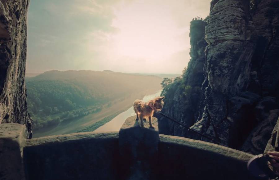Travel Where You Live