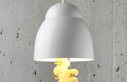 Jan Flook Lighting launches the BLOOM pendant
