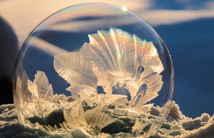 Frozen Bubble Ice Crystals