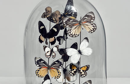 160 grams magazine Curiosity & Vanity