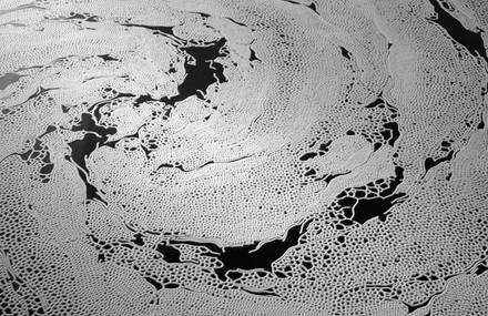 Return to the origin – Motoi Yamamoto