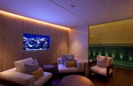 Using a bespoke aquarium to create a relaxing and exotic place