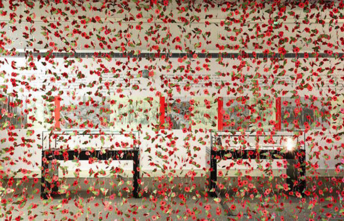A Corridor Filled by 8000 Paper Poppies