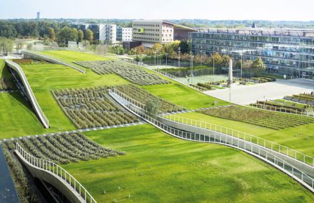 Waving Green Roofs for a Campus in Paris