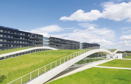 Waving Green Roofs for a Campus in Paris