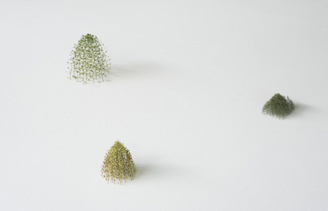 Delicate Plants Sculptures