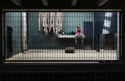 Human Zoo