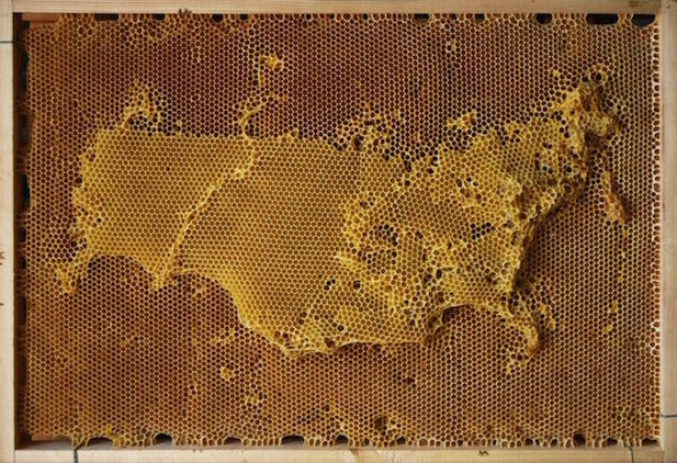 Beeswax Maps Of The World_1