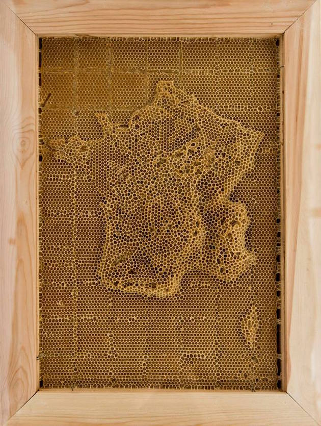 Beeswax Maps Of The World_4