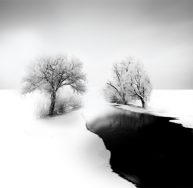 Dreamy Black And White Photography_1