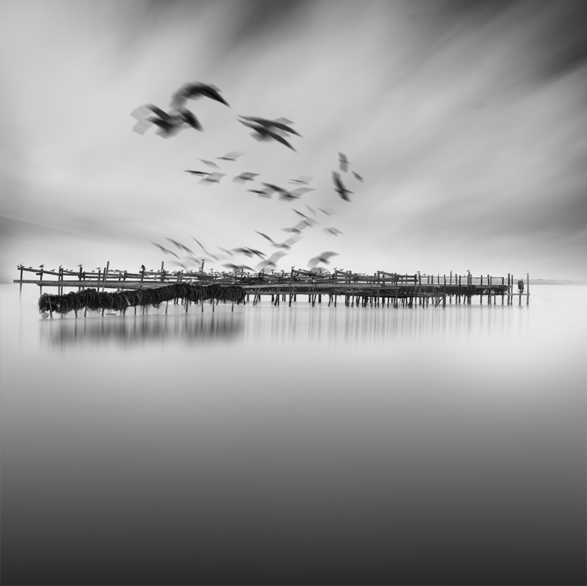 Dreamy Black And White Photography_4