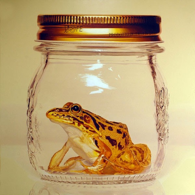 Hyperrealistic Animal Paintings_0