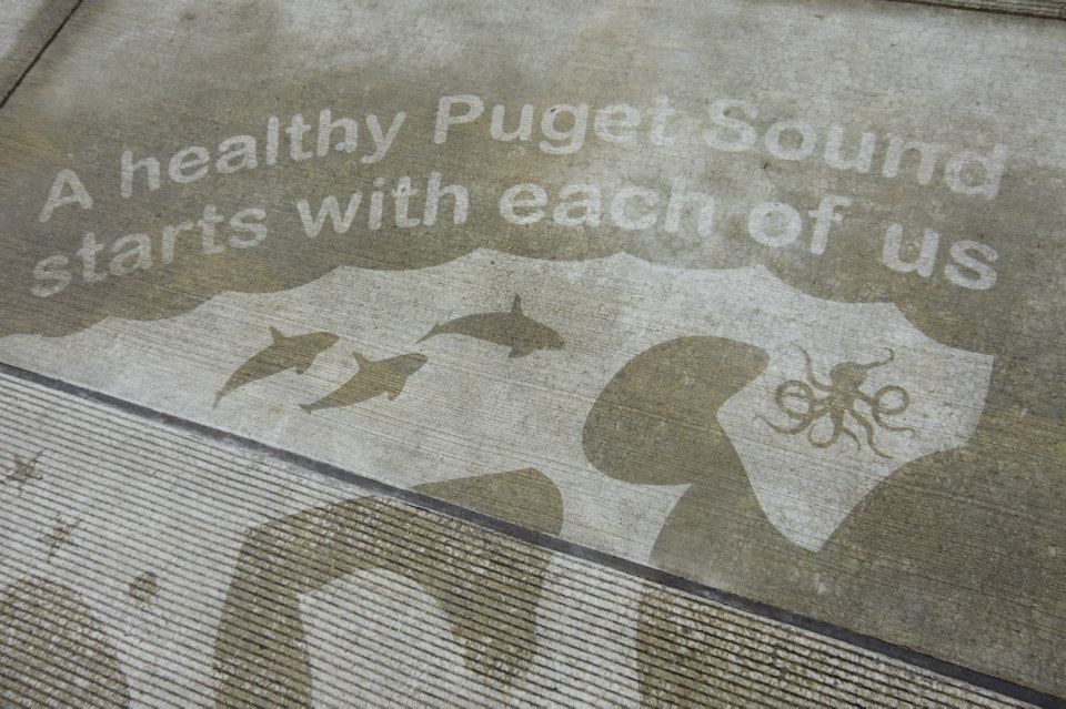 Illustrations on Sidewalks Appear When Raining_5