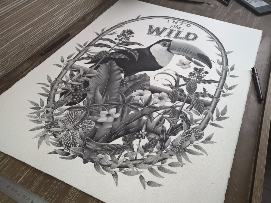 Into The Wild Illustration_0