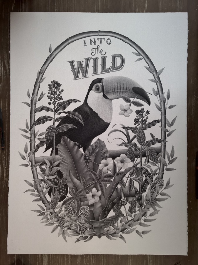 Into The Wild Illustration_14
