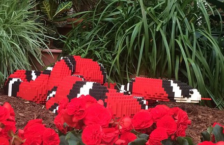 Lego Sculptures Inspired by the Natural World