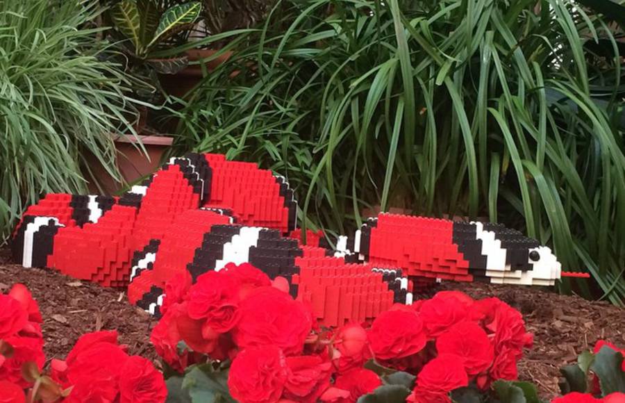 Lego Sculptures Inspired by the Natural World
