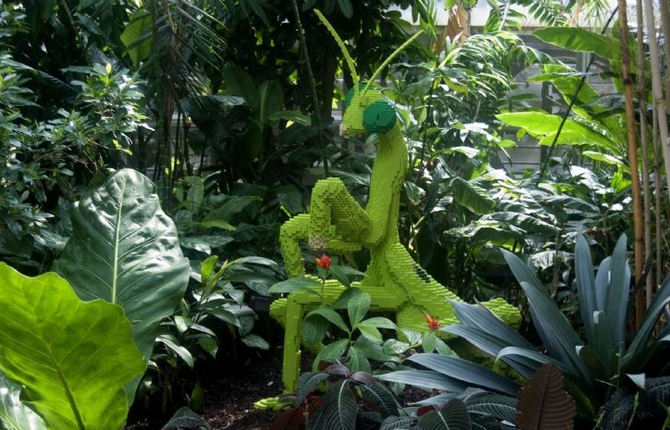 Lego Sculptures Inspired by the Natural World