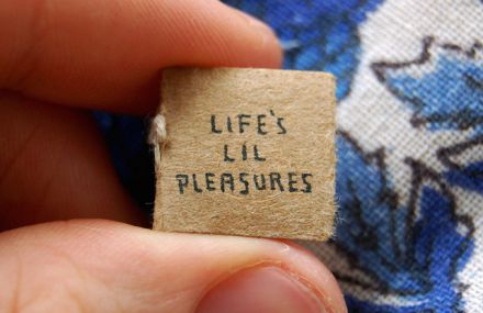 The Tiniest Book of Life’s Lil Pleasures