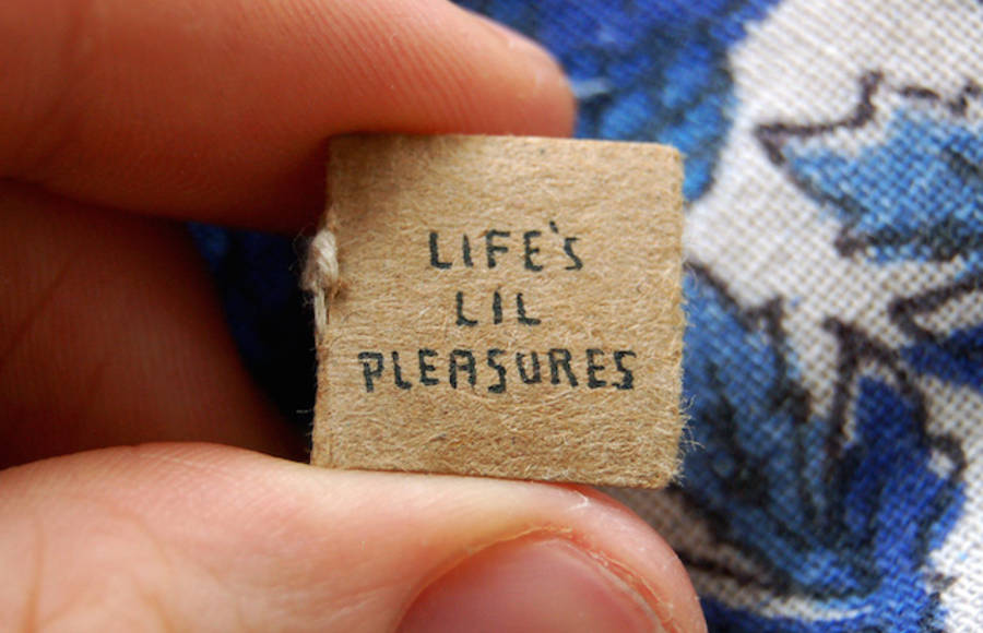 The Tiniest Book of Life’s Lil Pleasures