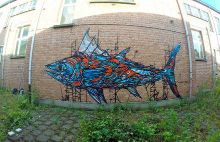 Murals of Animals in Antwerp